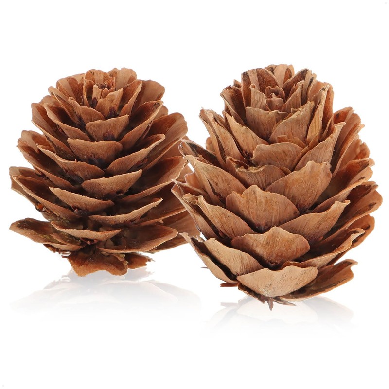 com-four® 200 x Decorative Cones Larch - Cones Decoration for