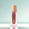 LAKA Vegan Tint Thick Glossy Fruity Glam Tint 4.5g No. 106 Juicy x 1 / 라카 비건 틴트 도톰한 광택 프루티 글램 틴트 4.5g 106호 쥬이시 x 1개