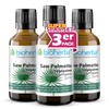 3 Pack Saw Palmetto - Saw Palmetto Saw Palmetto Extract