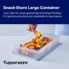 Tupperware Snack-Store Large Container, Dishwasher Safe and BPA Free Container