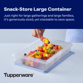 Tupperware Snack-Store Large Container, Dishwasher Safe and BPA Free Container (3.5 L / 14.7 Cups)
