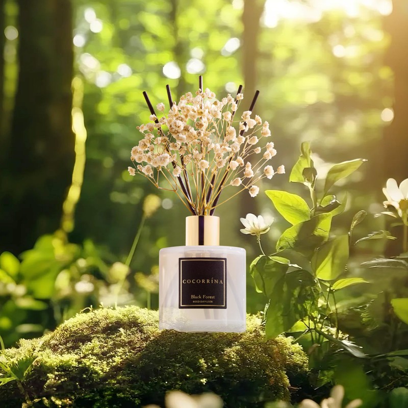 Cocorrína Reed Diffuser Sets, 6.7 fl oz. Black Forest Diffuser