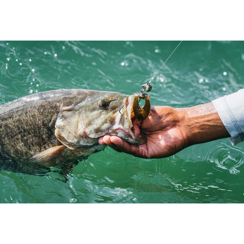 PowerBait Chigger Craw Green Pumpkin 3in | 8cm