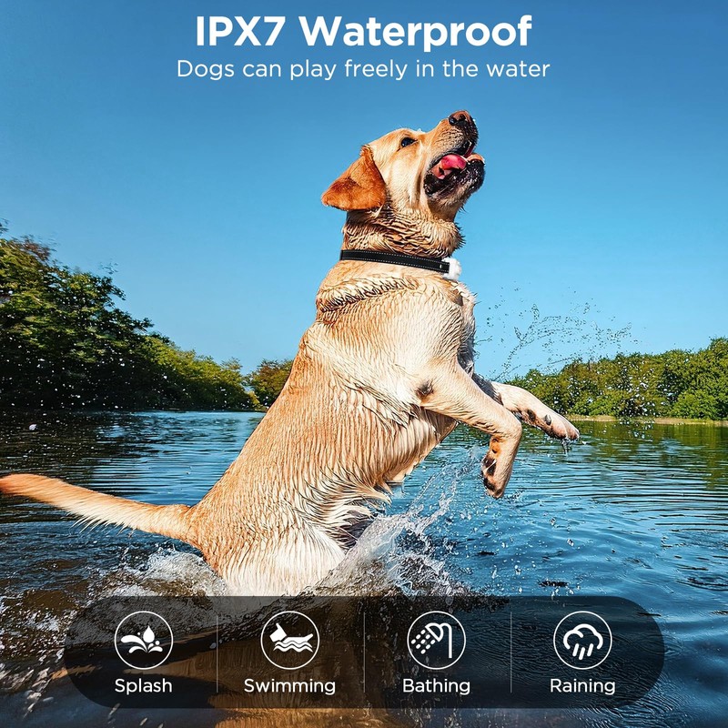Dog Shock Collar, 3300ft Dog Training Collar with Remote, IPX7