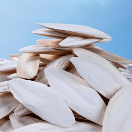 KBCYRT 22pcs Cuttlefish, Cuttlefish for Birds, 5-7cm Cuttlefish Bone, Cuttlefish Bone for Snails, Cuttlefish for Tortoise, Parrots Chew Toys, for Parrots Cage Birds Reptiles Tortoises Snails