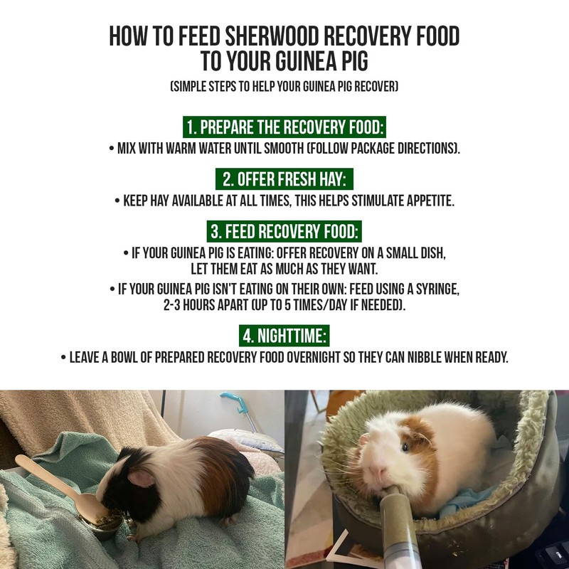 Sherwood Pet Health Guinea Pig Emergency Kit (Small) with Timothy