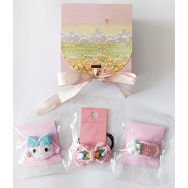 Hair Accessories Set for Girls with Crochet Hair Pins, Hair Ropes (3pcs) with gift box and silk band (Pink and blue)
