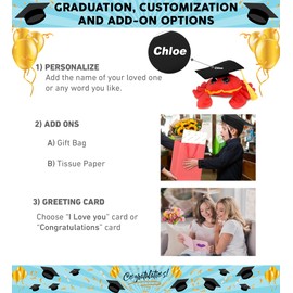 DolliBu Sparkle Eyes Green Sea Turtle Graduation Plush Toy - Super Soft Graduation Stuffed Animal Dress Up Gown and Cap with Tassel with Personalization - 10 Inch