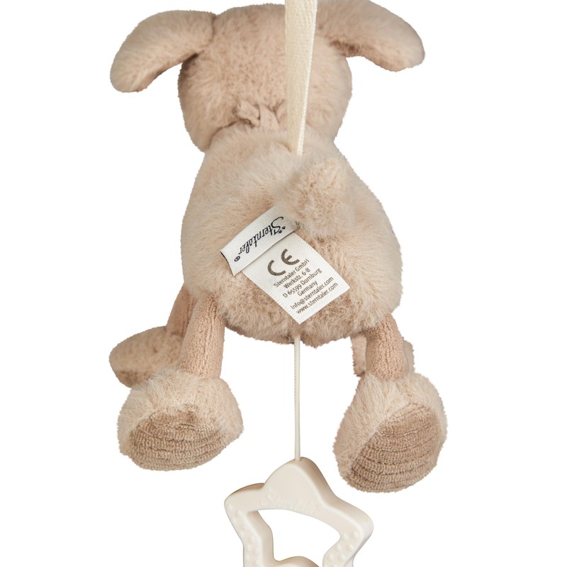 Lucky Dog Musical Box Small