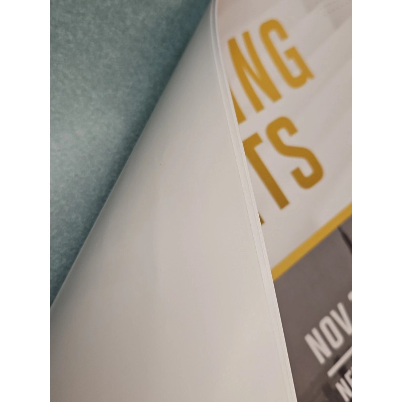 UFC Upcoming Events Promo Poster 295 296 297