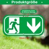Emergency Exit Sign Arrow Down 30 x 15 cm Escape