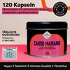 Milk Thistle Capsules with Artichoke, Turmeric, Dandelion and Desmodium, 80%