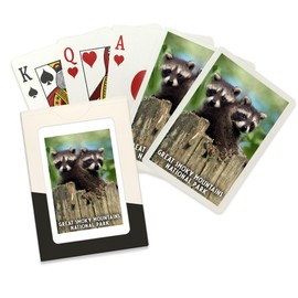 Lantern Press Raccoons, Great Smoky Mountains, TN (52 Playing Cards, Poker Size Card Deck with Jokers)