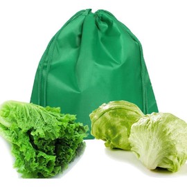 MORSNE lettuce bag-shredded lettuce fresh bag-looking lightweight convenient veggie washable durable (Green-Lettuce-1 pack)