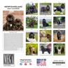 Newfoundland Calendar 2020 - Dog Breed Calendar - Wall Calendar