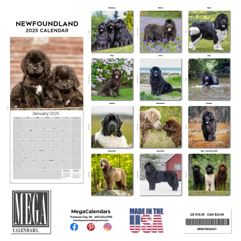 Newfoundland Calendar 2020 - Dog Breed Calendar - Wall Calendar