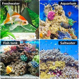 Ammonia Aquarium Test Strips - Fresh & Salt Water Aquariums, Lab Grade, for Professional Or Home Fish Tanks - Fast & Accurate Results! (50 Count) Ammonia (NH2 & NH4)