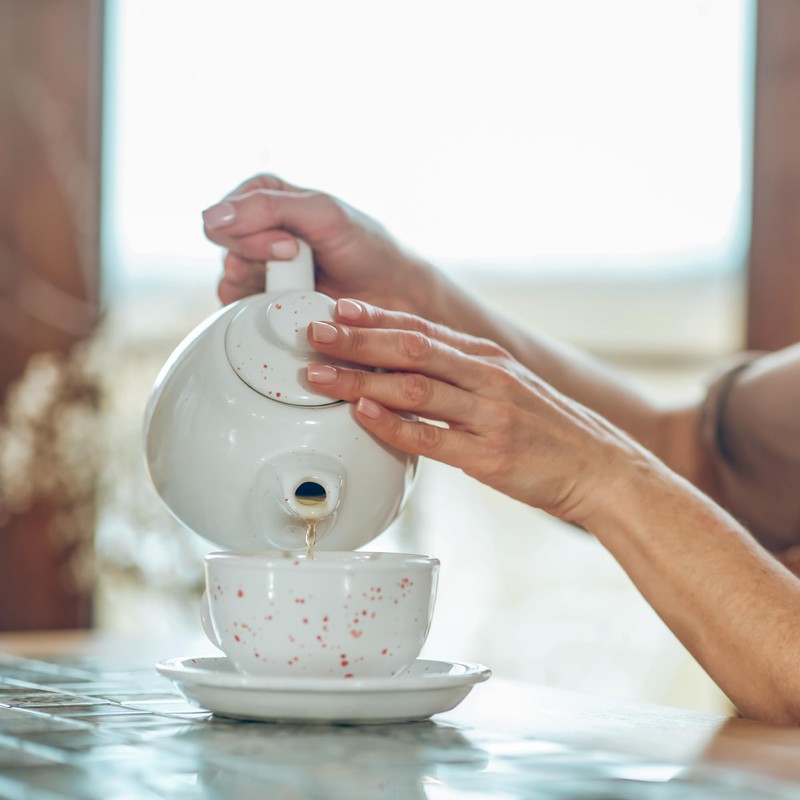 Jovvily Sarsaparilla Root - 4 oz - Cut & Sifted