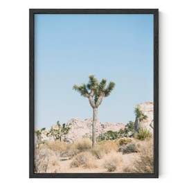 HAUS AND HUES Joshua Tree Desert Wall Art - Made in the USA - Unframed 12x16 (Desert)