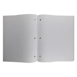 Hilroy 05664 Wireless Quad Ruled Neatbook, 11x8.5-Inch, 3 Hole Punched, 4/1 inch and 5/1 inch pages, 80-Sheets, 1 neatbook, Colour May Vary