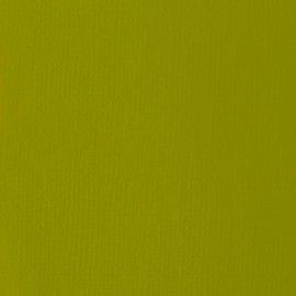 LIQUITEX Acrylic Paint Basics B-209, Light Olive Green, 4.0 fl oz (118 ml)
