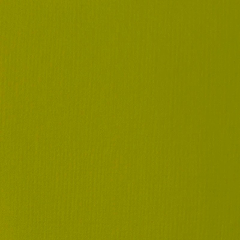 LIQUITEX Acrylic Paint Basics B-209, Light Olive Green, 4.0 fl