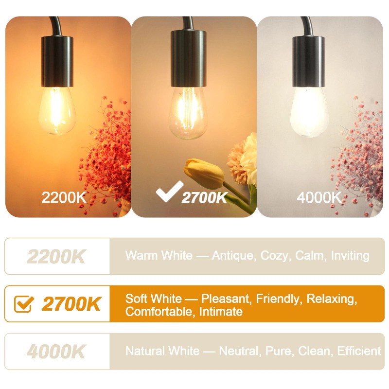 BRIMAX 30Pack 2W LED Light Bulbs E26 Edison Bulb for