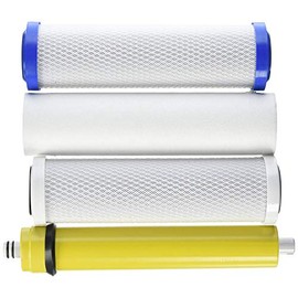 IPW Industries Inc Watts Premier WP4-V Filter Annual Bundle (24 GPD)