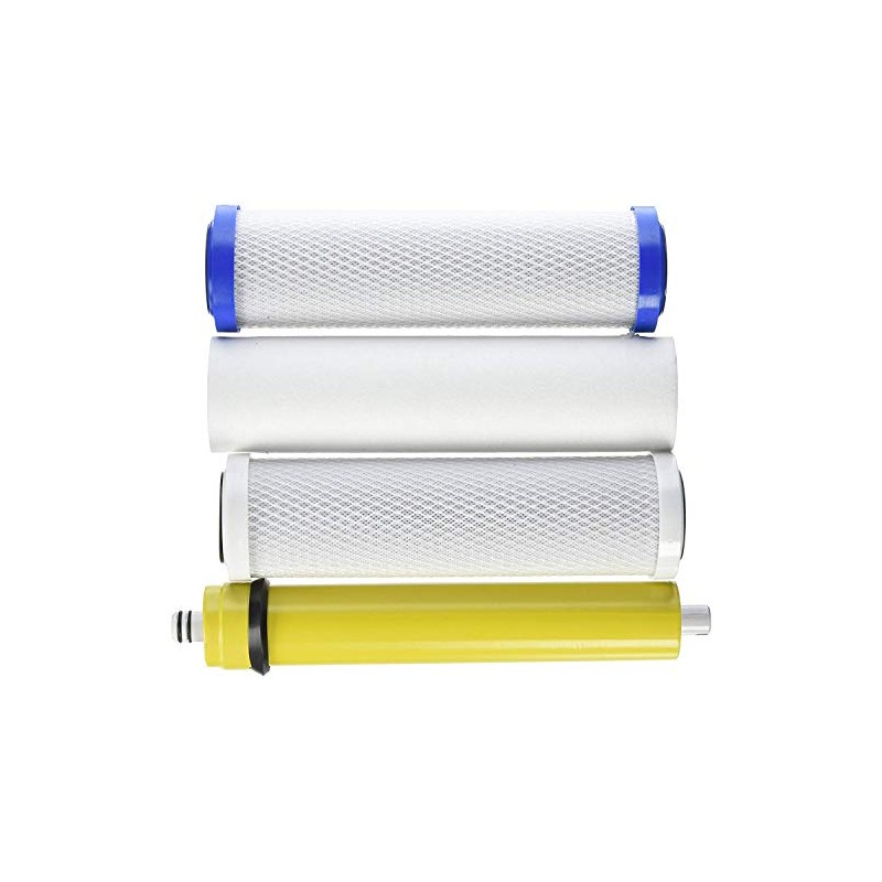 IPW Industries Inc Watts Premier WP4-V Filter Annual Bundle (24