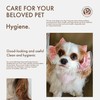 Soft Cotton Dog Headband for Cocker Spaniel, Cavalier, Springer -
