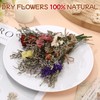 WGXX 12 Pack Dried Flowers for Vase Various Mini Bouquet