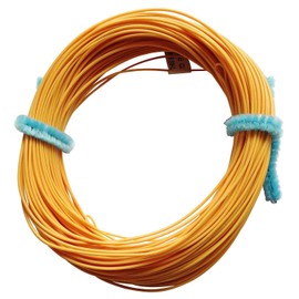 Fly Line DT – F Tapered Floating 100ft (Approximately/30.5 m)