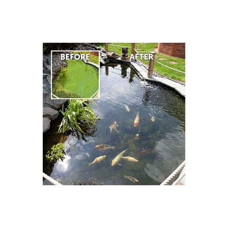 Kleeneze Pond Clarifier, 100g - All Natural and Microbial Based