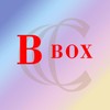 b Box - chenille sequins embroided iron on patches big