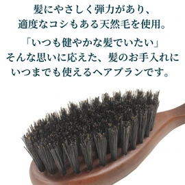 Art Brush Boar Hair Brush Kami Komachi