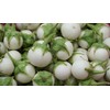 Thai White Eggplant Seeds/ Cà pháo trắng trái nhỏ, Asian