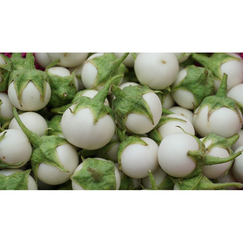 Thai White Eggplant Seeds/ Cà pháo trắng trái nhỏ, Asian
