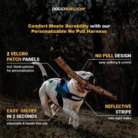 DOGGYKINGDOM No Pull Dog Harness with Patch Panels and Handle, Adjustable, Reflective, Easy On Heavy Duty Service Dog Vest for Medium Large Small Sized Dogs - Motorsport, XS 5-9 lbs