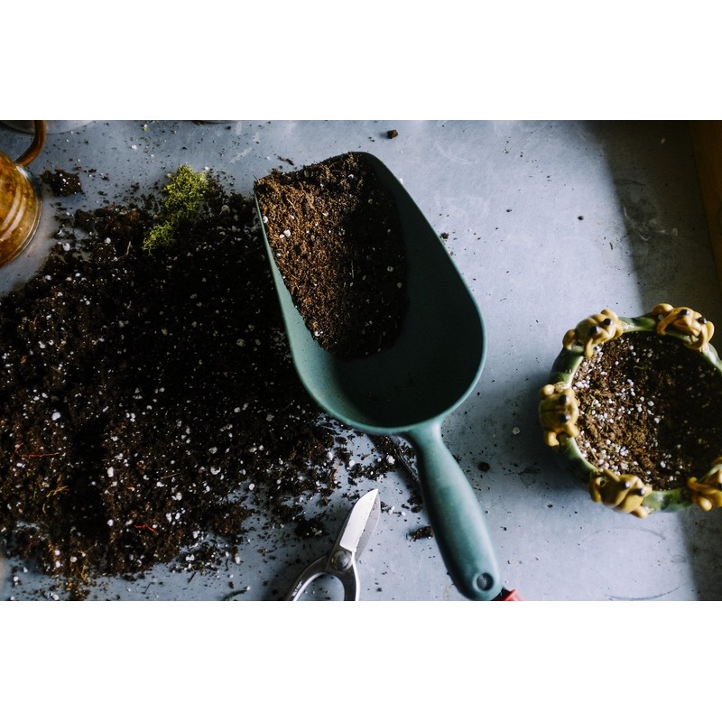 'Super Soil Organic Concentrate