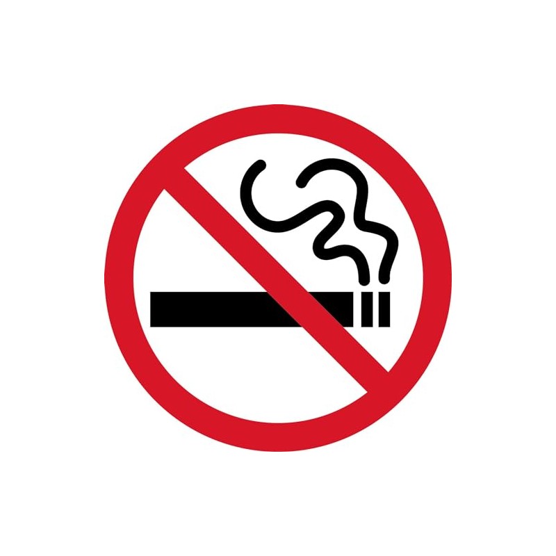 CafePress No Smoking Rectangle Bumper Sticker Car Decal
