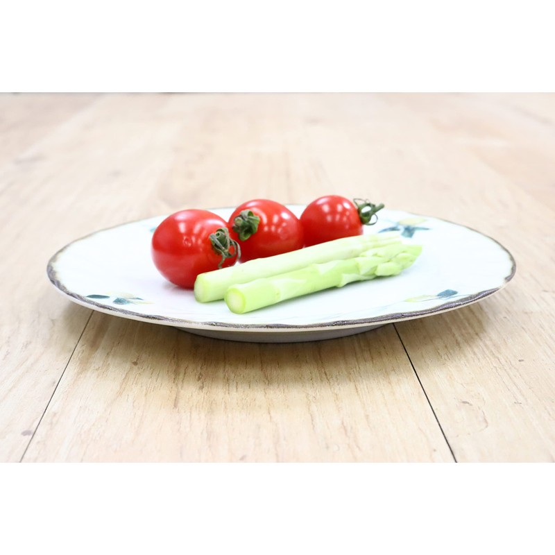 Castle Enterprise Showa Retro Romantic Dinnerware Series [6.3 inches (16