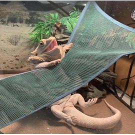 Bearded Dragon Lizard Hammock - Breathable Mesh Lounger Ladder Bearded Dragon, Reptile Hammock Accessories for Bearded Dragons Geckos Lizards (Black)