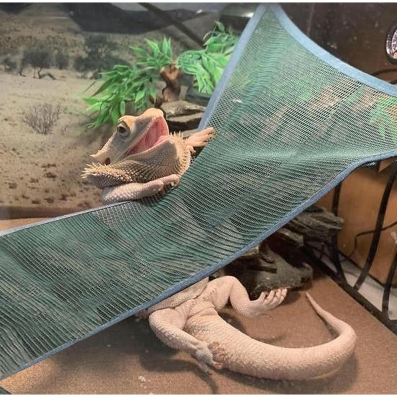 Bearded Dragon Lizard Hammock - Breathable Mesh Lounger Ladder Bearded