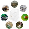 Acrylic Jumping Spider Enclosure Box: 10x6x6 Inch Transparent Habitat with