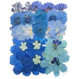 OECCO Large Blue Dried Pressed Flower for Resin, Big Real Nature Pressing Floral Leaves for DIY Craft, Mold, Jewelry Making, Candle Scrapbooking Supplies