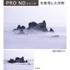 Kenko 449547 PRO ND4 N 3.0 inches (77 mm) ND