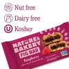 Unbranded Nature's Bakery, Raspberry Fig Bars, 10 Twin Packs, 2