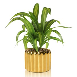 Vnezakl 9" Artificial Dracaena Plant with Textured Leaves Golden Ceramic Pot Realistic Faux Greenery Fake Potted Plant Indoor Outdoor Home Decor for Living Room Office Garden Table Centerpiece