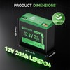 12V 20Ah LiFePO4 Battery, Built-in 30A BMS, Deep Cycles Rechargeable
