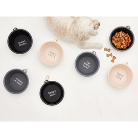 Santa Barbara Design Studio Collapsible Pet Bowl Silicone Portable Water Bowl for Dogs or Cats, Holds 4-Cups, Social